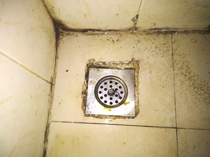 sewer smell from shower drain