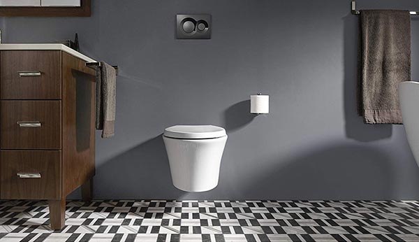best wall hung toilet