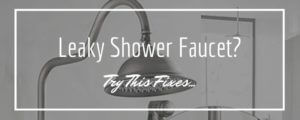 Leaky Shower Faucet